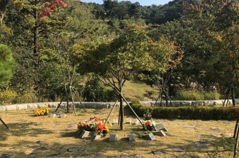 공원묘지 수목장 by 하늘나무