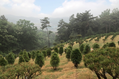 김포수목장 by 하늘나무
